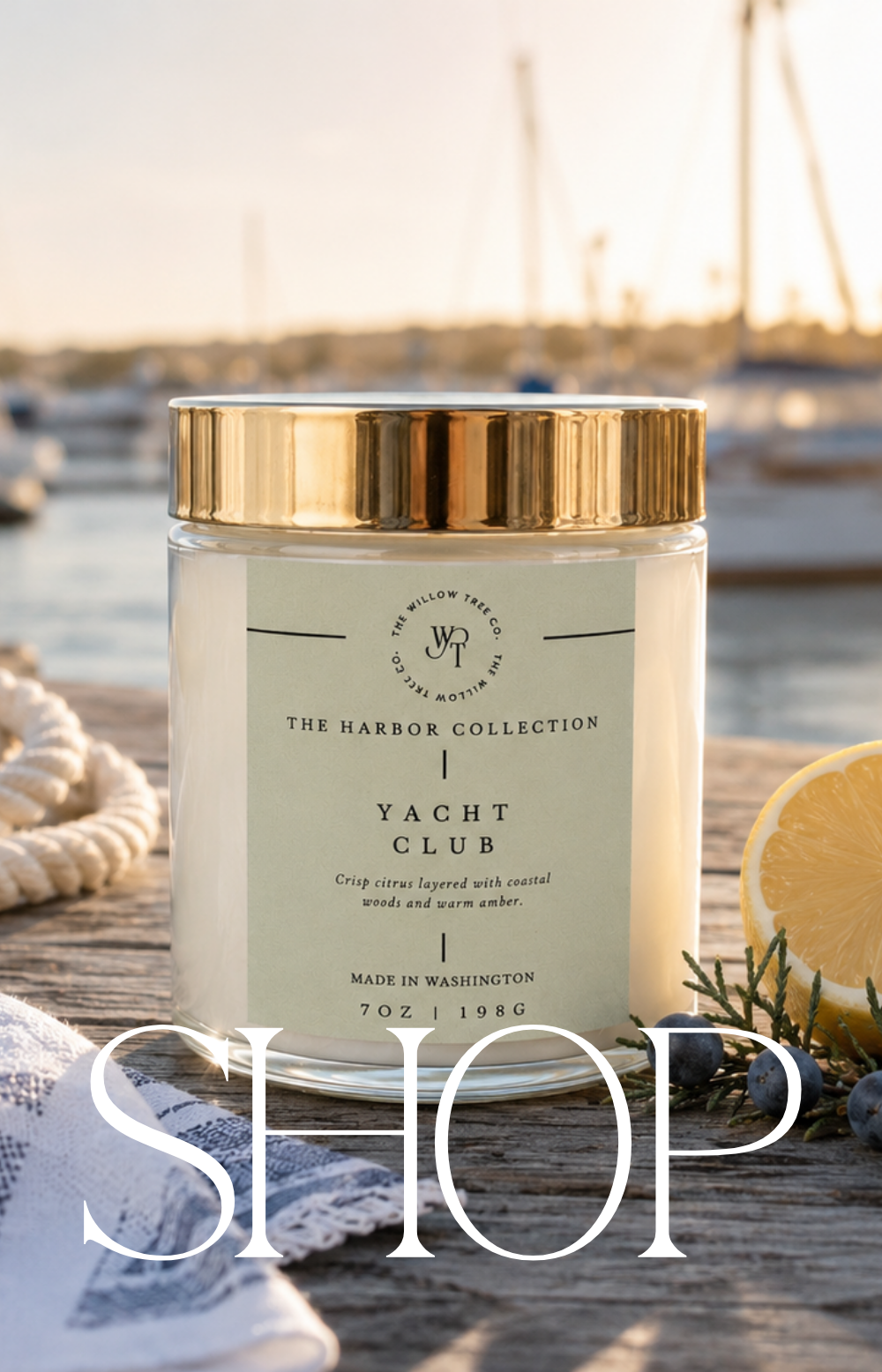 Luxury coastal candle with a pastel sage green label styled beside driftwood and seashells with soft ocean views in the background.